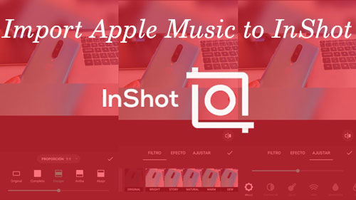 add apple music to inshot
