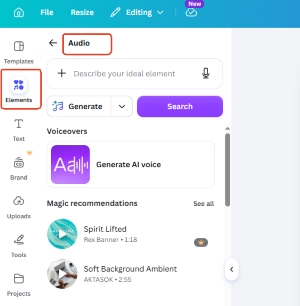 add audio from canva