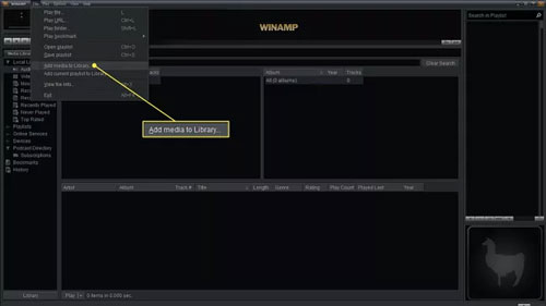 add apple music library to winamp