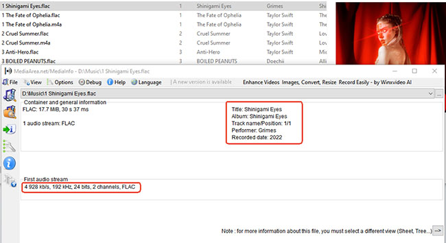 analyze drmare spotify music converter output quality