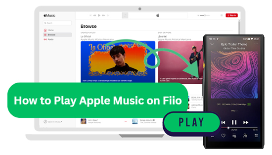 fiio apple music