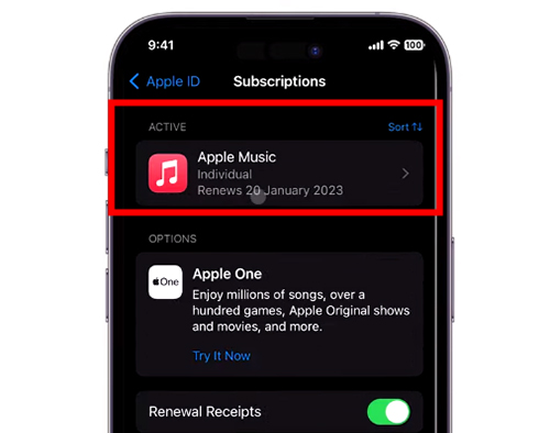 check your apple music subscription on ios