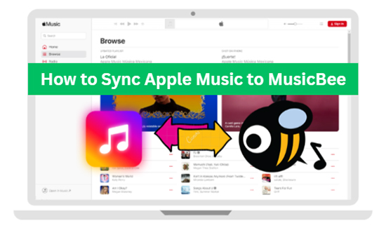 apple music to musicbee