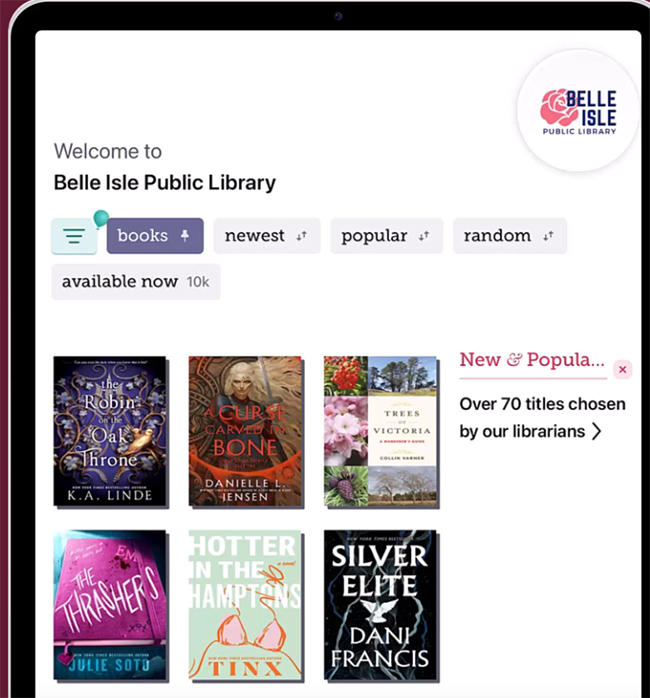 browse public library in libby app