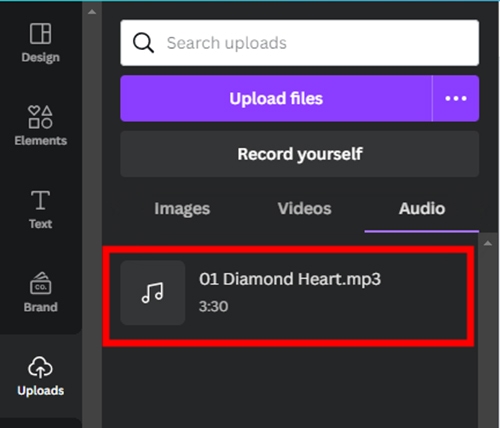 canva website audio section