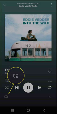 cast spotify on mobile phone