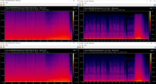 check aaplmusicdownloader audio quality