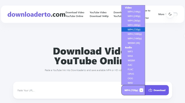 choose output format downloaderto