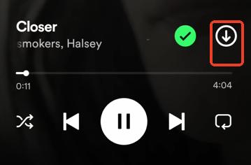 download individual songs in spotify x