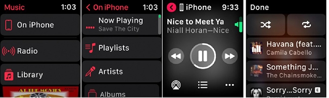 control apple music from apple watch