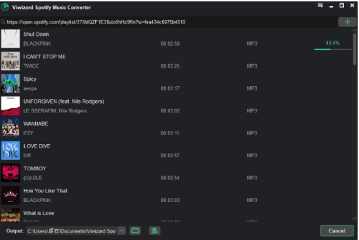 convert spotify viwizard