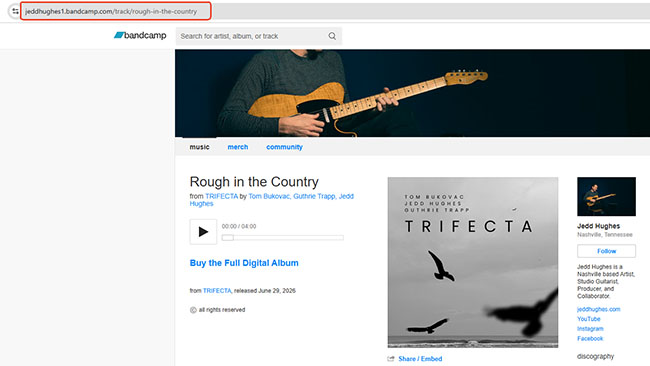 copy bandcamp url