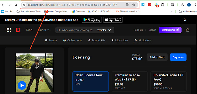 copy beatstars link