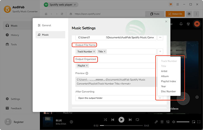 customize output file name audifab