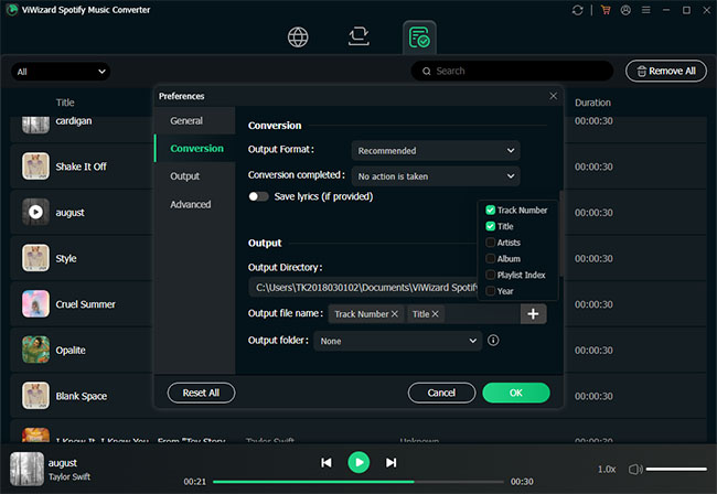 customize output settings in viwizard spotify music converter