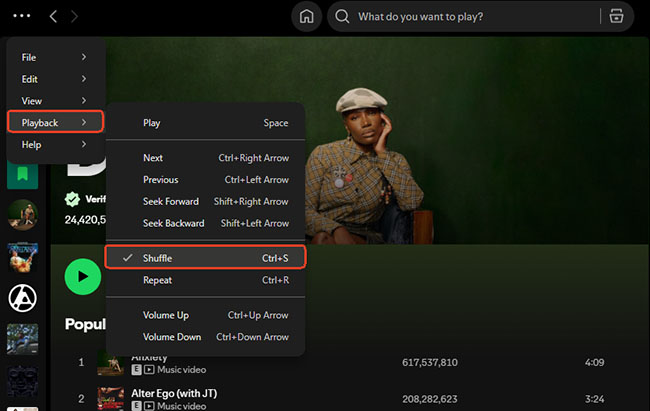disable shuffle on spotify desktop