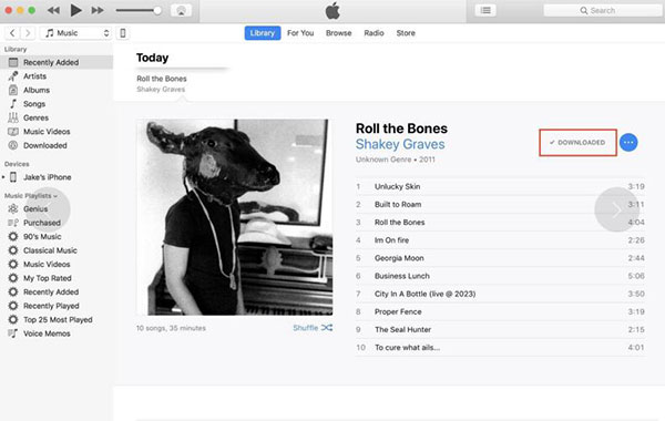 listen to apple music offline computer
