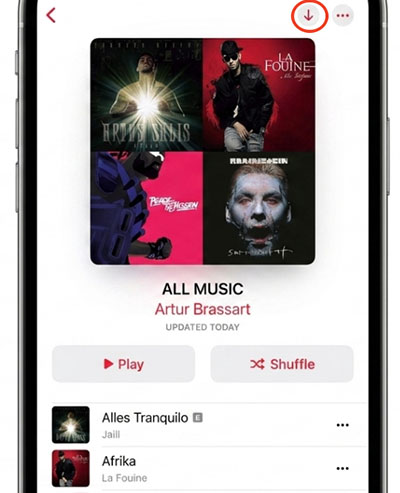 download all songs in apple music library on iphone