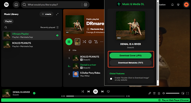 download cover txt spotify downloader any website