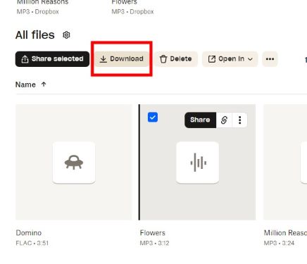 download files from dropbox