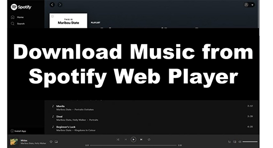 download from spotify web player