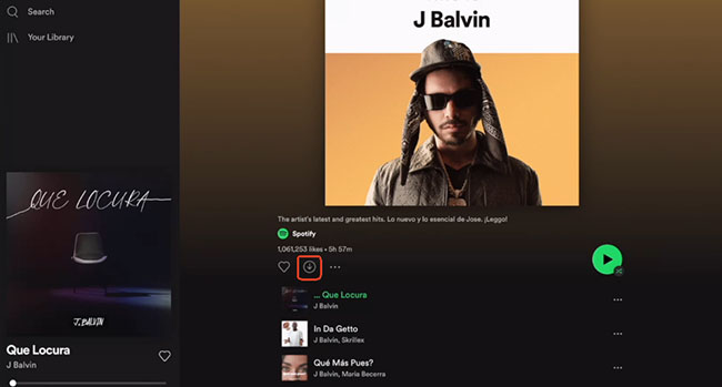 download spotify songs on ipad