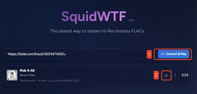 download tidal tracks via squidwtf