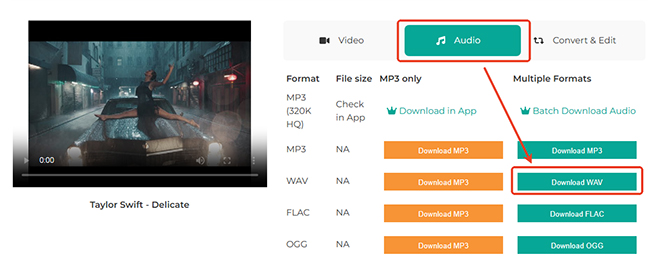 download youtube to wav online free via acethinker