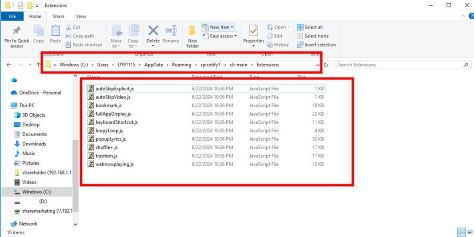 downloaded spicetify extensions