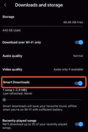 enable youtube music smart downloads