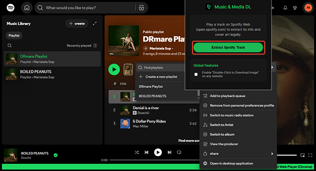 extract spotify track spotify downloader any website