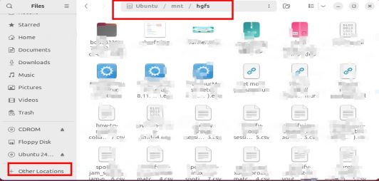 files in the shared folder