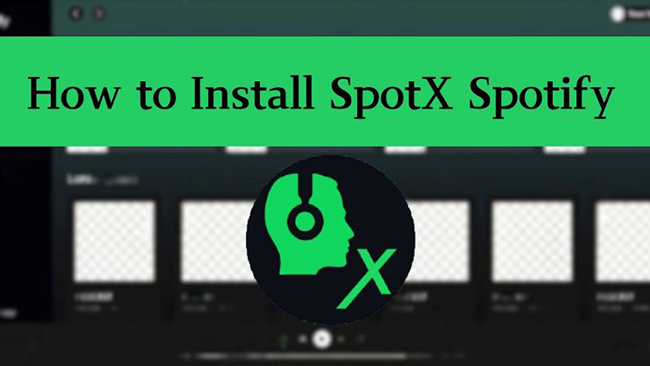how to install spotx