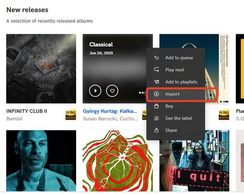 import button in qobuz app