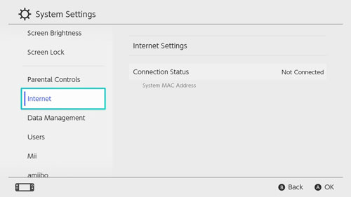 internet settings section on nintendo