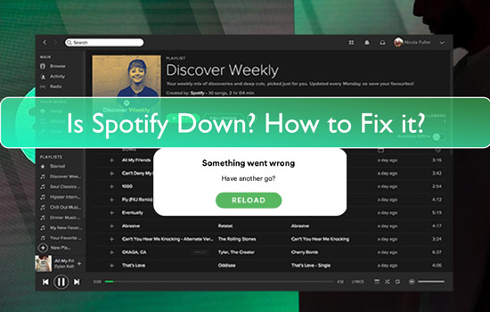 is spotify down