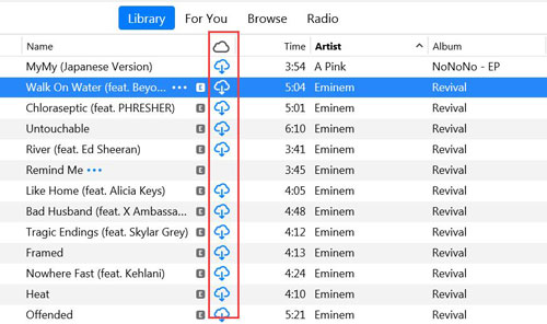 get rid of drm on apple music via itunes match