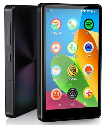 cheapest spotify portable player