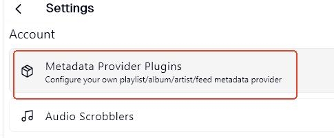 metadata provider plugins button in spotube