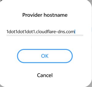 modify dns hostname
