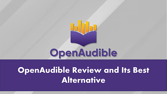 openaudible review