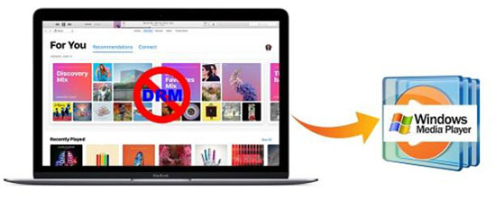 download apple music to windows media player