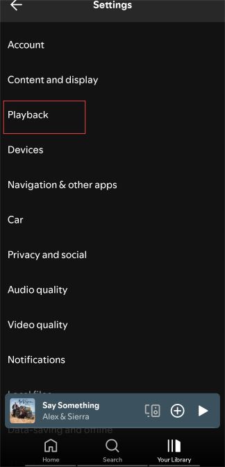 playback option on spotify