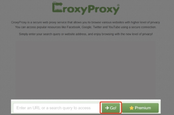 enter youtube website on proxy