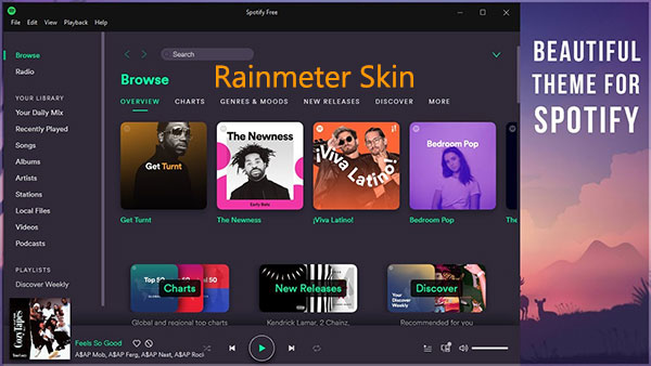 rainmeter skin for spotify