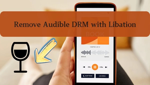 libation audible converter review