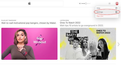 settings on apple music web player