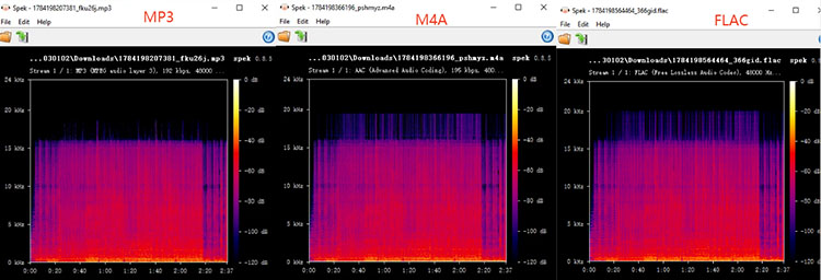 spek analyze spotyloader audio quality