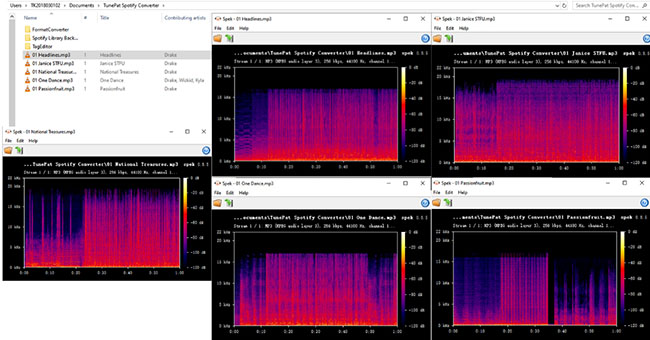spek check tunepat spotify converter audio quality