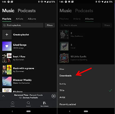 use spotify downloads on phone